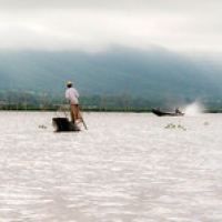 Faux pêcheur sur le lac Inlé • <a style="font-size:0.8em;" href="http://www.flickr.com/photos/22252278@N05/32195174313/" target="_blank">View on Flickr</a>