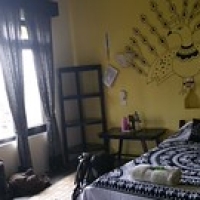 Room at Sapana Village Lodge Room at Sapana Village Lodge • <a style="font-size:0.8em;" href="http://www.flickr.com/photos/22252278@N05/21708323790/" target="_blank">View on Flickr</a>