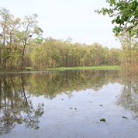 20 000 Lake 20 000 Lake • <a style="font-size:0.8em;" href="http://www.flickr.com/photos/22252278@N05/21708365320/" target="_blank">View on Flickr</a>