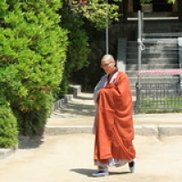 Le temple Bulguksa Le temple Bulguksa • <a style="font-size:0.8em;" href="http://www.flickr.com/photos/22252278@N05/22495182835/" target="_blank">View on Flickr</a>