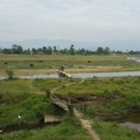 Chitwan : Sapana Villadge lodge Chitwan : Sapana Villadge lodge • <a style="font-size:0.8em;" href="http://www.flickr.com/photos/22252278@N05/21906045041/" target="_blank">View on Flickr</a>