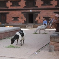 Bhaktapur • <a style="font-size:0.8em;" href="http://www.flickr.com/photos/22252278@N05/21443812258/" target="_blank">View on Flickr</a>