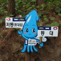 Ulleungdo, lost in translation Ulleungdo, lost in translation • <a style="font-size:0.8em;" href="http://www.flickr.com/photos/22252278@N05/21688377733/" target="_blank">View on Flickr</a>