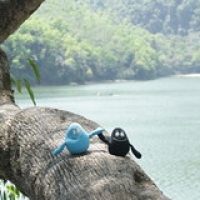 Les baroudeurs... Les baroudeurs... • <a style="font-size:0.8em;" href="http://www.flickr.com/photos/22252278@N05/21706450829/" target="_blank">View on Flickr</a>