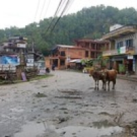 Pokhara lakeside north Pokhara lakeside north • <a style="font-size:0.8em;" href="http://www.flickr.com/photos/22252278@N05/21867278856/" target="_blank">View on Flickr</a>