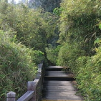 Passage secret Passage secret • <a style="font-size:0.8em;" href="http://www.flickr.com/photos/22252278@N05/22775877931/" target="_blank">View on Flickr</a>