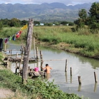 Village de Nyaung Shwe Village de Nyaung Shwe • <a style="font-size:0.8em;" href="http://www.flickr.com/photos/22252278@N05/32869347151/" target="_blank">View on Flickr</a>