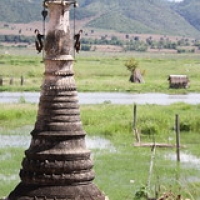 Vue depuis Tharkhaung Vue depuis Tharkhaung • <a style="font-size:0.8em;" href="http://www.flickr.com/photos/22252278@N05/32994853295/" target="_blank">View on Flickr</a>