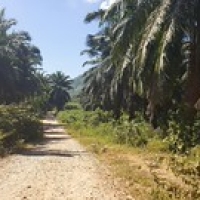 Sur la route de Tizit Sur la route de Tizit • <a style="font-size:0.8em;" href="http://www.flickr.com/photos/22252278@N05/36276670890/" target="_blank">View on Flickr</a>