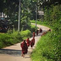 La quête des petits moines La quête des petits moines • <a style="font-size:0.8em;" href="http://www.flickr.com/photos/22252278@N05/36672750815/" target="_blank">View on Flickr</a>