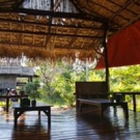 Chilling à la Coconut GH Chilling à la Coconut GH • <a style="font-size:0.8em;" href="http://www.flickr.com/photos/22252278@N05/36503333122/" target="_blank">View on Flickr</a>