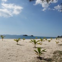 Tizit, bitch ! Tizit, bitch ! • <a style="font-size:0.8em;" href="http://www.flickr.com/photos/22252278@N05/35863380003/" target="_blank">View on Flickr</a>