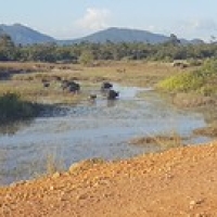 Compagnons de route Compagnons de route • <a style="font-size:0.8em;" href="http://www.flickr.com/photos/22252278@N05/36531916341/" target="_blank">View on Flickr</a>