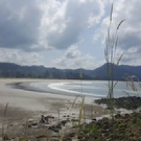 San Maria Beach : pas un chat San Maria Beach : pas un chat • <a style="font-size:0.8em;" href="http://www.flickr.com/photos/22252278@N05/35860983603/" target="_blank">View on Flickr</a>