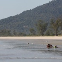Plage de Nabule Plage de Nabule • <a style="font-size:0.8em;" href="http://www.flickr.com/photos/22252278@N05/35863337533/" target="_blank">View on Flickr</a>