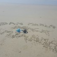 Enfin, à part eux... Enfin, à part eux... • <a style="font-size:0.8em;" href="http://www.flickr.com/photos/22252278@N05/36531812731/" target="_blank">View on Flickr</a>