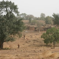 Village Lobi • <a style="font-size:0.8em;" href="http://www.flickr.com/photos/22252278@N05/36521965522/" target="_blank">View on Flickr</a>