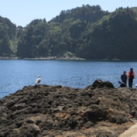 Ulleungdo : pêcheurs à Jeo-Dong Ulleungdo : pêcheurs à Jeo-Dong • <a style="font-size:0.8em;" href="http://www.flickr.com/photos/22252278@N05/22121809158/" target="_blank">View on Flickr</a>