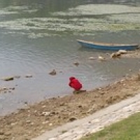 Pokhara lakeside Pokhara lakeside • <a style="font-size:0.8em;" href="http://www.flickr.com/photos/22252278@N05/21903068651/" target="_blank">View on Flickr</a>