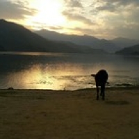 Pokhara Pokhara • <a style="font-size:0.8em;" href="http://www.flickr.com/photos/22252278@N05/21705344270/" target="_blank">View on Flickr</a>