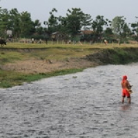 Pecheur Tharu Pecheur Tharu • <a style="font-size:0.8em;" href="http://www.flickr.com/photos/22252278@N05/21709394219/" target="_blank">View on Flickr</a>