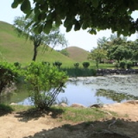 Gyeongju  Parc Daereungwon Gyeongju  Parc Daereungwon • <a style="font-size:0.8em;" href="http://www.flickr.com/photos/22252278@N05/21850456953/" target="_blank">View on Flickr</a>