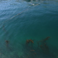 Ulleungdo : Jeo-Dong Ulleungdo : Jeo-Dong • <a style="font-size:0.8em;" href="http://www.flickr.com/photos/22252278@N05/22121564230/" target="_blank">View on Flickr</a>