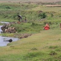 Village Tharu Village Tharu • <a style="font-size:0.8em;" href="http://www.flickr.com/photos/22252278@N05/21708273790/" target="_blank">View on Flickr</a>