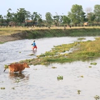 Village Tharu Village Tharu • <a style="font-size:0.8em;" href="http://www.flickr.com/photos/22252278@N05/21273507754/" target="_blank">View on Flickr</a>