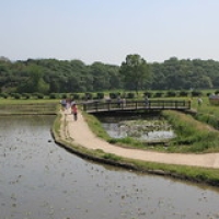 Gyeongju  autour du parc Gyeongju  autour du parc • <a style="font-size:0.8em;" href="http://www.flickr.com/photos/22252278@N05/22284021218/" target="_blank">View on Flickr</a>