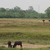 Village Tharu Village Tharu • <a style="font-size:0.8em;" href="http://www.flickr.com/photos/22252278@N05/21709469529/" target="_blank">View on Flickr</a>