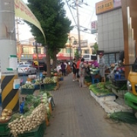 Gyeongju : le marché Gyeongju : le marché • <a style="font-size:0.8em;" href="http://www.flickr.com/photos/22252278@N05/22763921715/" target="_blank">View on Flickr</a>