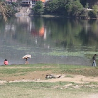 Pokhara lakeside Pokhara lakeside • <a style="font-size:0.8em;" href="http://www.flickr.com/photos/22252278@N05/21705251890/" target="_blank">View on Flickr</a>