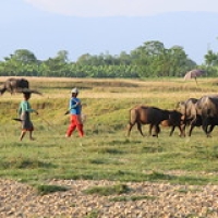Village Tharu Village Tharu • <a style="font-size:0.8em;" href="http://www.flickr.com/photos/22252278@N05/21905897931/" target="_blank">View on Flickr</a>