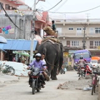 Sauraha Sauraha • <a style="font-size:0.8em;" href="http://www.flickr.com/photos/22252278@N05/21870173406/" target="_blank">View on Flickr</a>