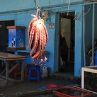 Ulleungdo : le pays du calamar Ulleungdo : le pays du calamar • <a style="font-size:0.8em;" href="http://www.flickr.com/photos/22252278@N05/22121574300/" target="_blank">View on Flickr</a>