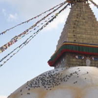 Stupa de Bodnath Stupa de Bodnath • <a style="font-size:0.8em;" href="http://www.flickr.com/photos/22252278@N05/21891852209/" target="_blank">View on Flickr</a>
