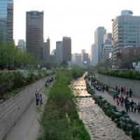 Cheonggyecheon Cheonggyecheon • <a style="font-size:0.8em;" href="http://www.flickr.com/photos/22252278@N05/21958563001/" target="_blank">View on Flickr</a>