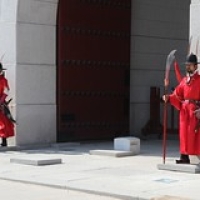 Relève de la garde à Gyeongbokgung Relève de la garde à Gyeongbokgung • <a style="font-size:0.8em;" href="http://www.flickr.com/photos/22252278@N05/21922563296/" target="_blank">View on Flickr</a>